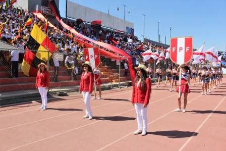 Plants: image 1 0f 4 thumb